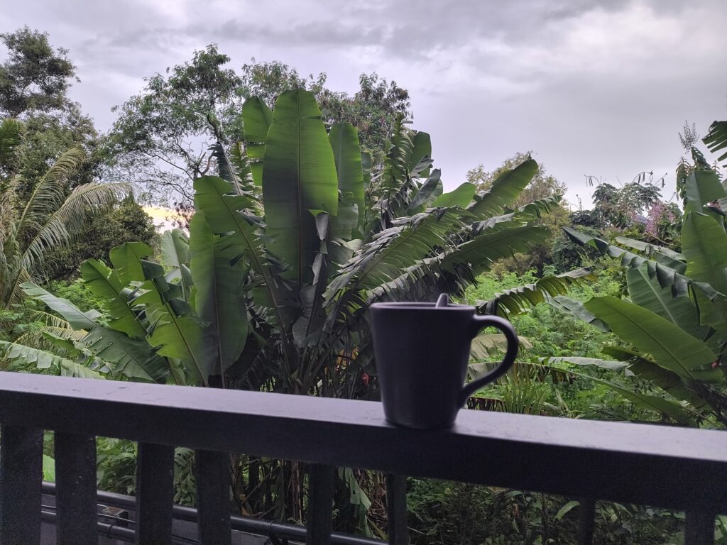 img 20251001 172221016 hdr